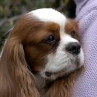 Houbrechts Didier π π§πͺπΊπ¦πͺπ (@didhoub) 's Twitter Profile