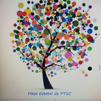 PTSCs de España.
📌 Coordinadoras/es de bienestar y protección a la Infancia y adolescencia.