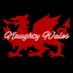 😈Naughty Wales😈 (@naughty_wales) Twitter profile photo 😈Naughty Wales😈 (@naughty_wales) Twitter profile photo