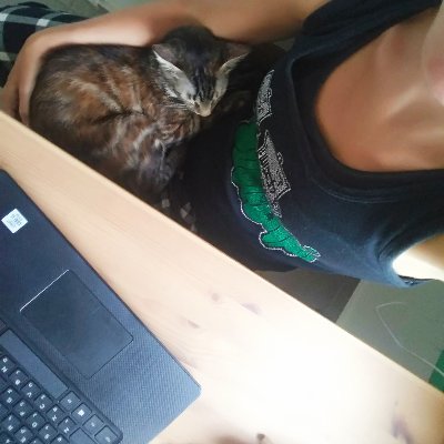 mag_bb_lus's profile picture. A full-stack developer, historian, proud cat co-owner