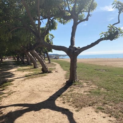 ArizaEncarna's profile picture. Però hi ha una veu que em diu : guarda algun somni pendent. Que en el desig estem més vius ...més que en allò que desitgem... Txarango