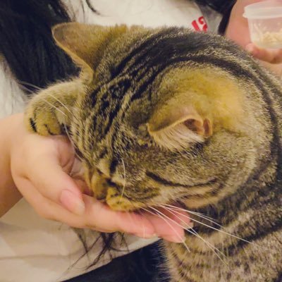 もな子さんのプロフィール画像