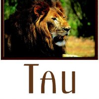 Tau Game Lodge (@taugamelodge) 's Twitter Profile