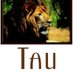 Tau Game Lodge (@taugamelodge) Twitter profile photo