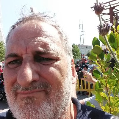 Viklo17's profile picture. 