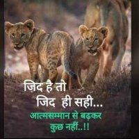 Pradeep Verma(@Pradeep07121485) 's Twitter Profile Photo