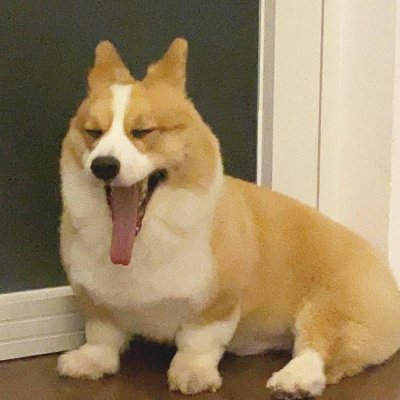 Phclc98536774's profile picture. $WEPE