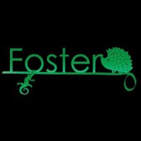 Foster(@Foster0928rep) 's Twitter Profile Photo