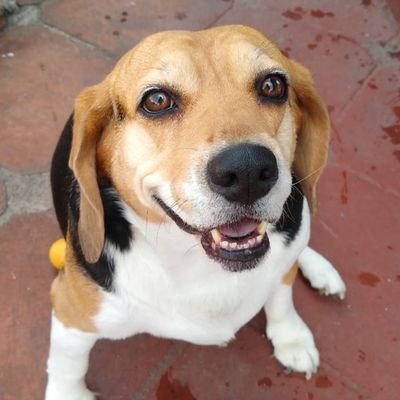 Comunicación, Mercadotecnia y Relaciones Públicas, TODO EN UNO ;)