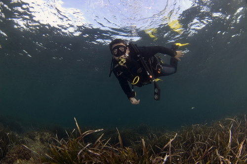 delapuentecm's profile picture. Desconfiando desde 1973.Odio los pasodobles