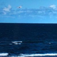 Nulesia (@nutka2020) 's Twitter Profile
