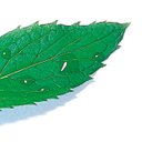 Robert Lamb - @robertlambco - Twitter