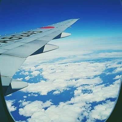 てぃすさんのプロフィール画像