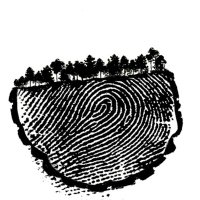 Sotabosc (@boscdecanbofill) 's Twitter Profile Photo