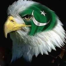 MuhammadInamRa3's profile picture. 