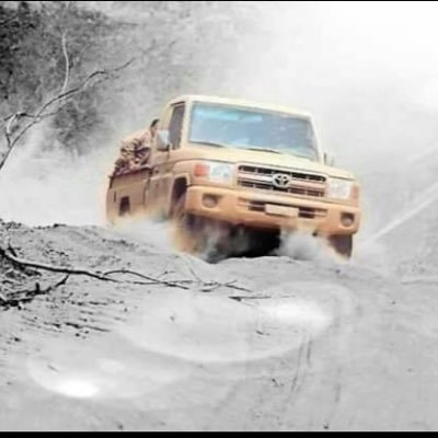 AymanAi52766391's profile picture. 