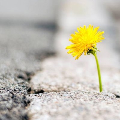 sushantsingh128's profile picture. #SUSHANTSİNGHRAJPUT