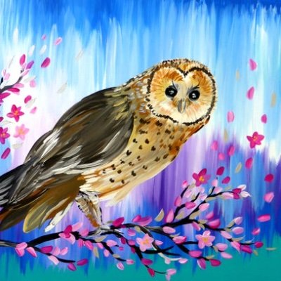 Cyrielle_tink's profile picture. 25 ans - Prof des écoles 👩🏻‍🏫📚.