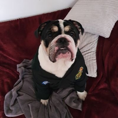 DonnaMortimer16's profile picture. i work front line and love it.