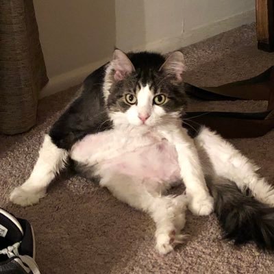 Cheen11's profile picture. Just Sean