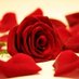 Murat_Ayşe (@muratay52043526) Twitter profile photo Murat_Ayşe (@muratay52043526) Twitter profile photo