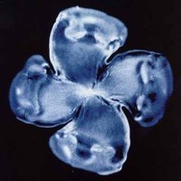 HarsheyLab (@harsheylab) 's Twitter Profile Photo HarsheyLab (@harsheylab) 's Twitter Profile Photo