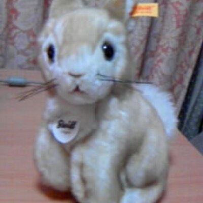 のろうぃ Norowi Twitter