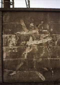 Sad_Juno's profile picture. 本当はでたらめな人間。主にガジェット楽器使い(KORG M01D他)、VOCALOIDはGUMI使い。YouTube(https://t.co/df1pExlluH…)他で地味に活動中。公式RTはおおむね肯定の意。クオリティフィルター使用中。