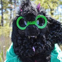 ✨💜MonGoose♠✨ (@evilweasel24) 's Twitter Profile