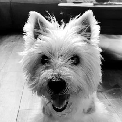 pkrenek's profile picture. 