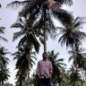 sachinpusachin's profile picture. Proud INDIAN 🇮🇳, Constitutionalist,  ಹೆಮ್ಮೆಯ ಕನ್ನಡಿಗ , Mandian 🤗😀