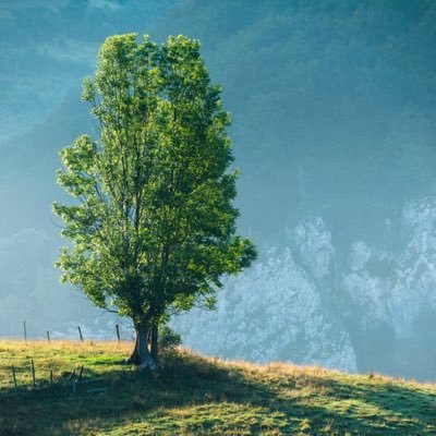 gcantiquefinds's profile picture. Buying and selling antiques that I find on my travels and at home.