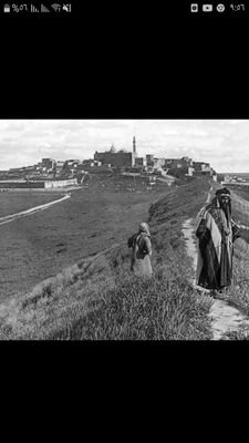 XxPSED8YosoUu1O's profile picture. 