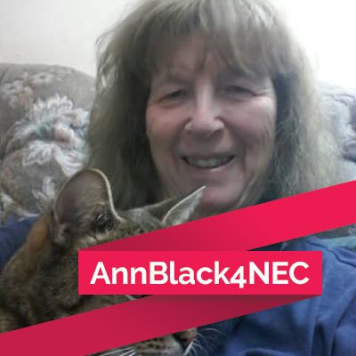 Member, Labour Party NEC. 

Please email me with enquiries at annblack2001@gmail.com as I don't always see tweets or DMs.