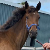 Guy Butchers (@guylwc) 's Twitter Profile