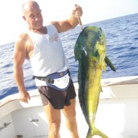 Jim Hittler (@jimhittler) 's Twitter Profile