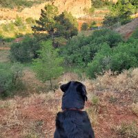 Kelly (@isrear1208) 's Twitter Profile