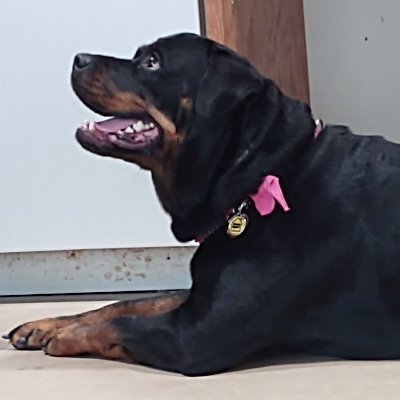 Michele3669216's profile picture. 