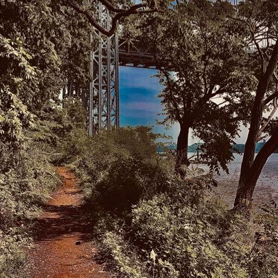 sunnykap's profile picture. 