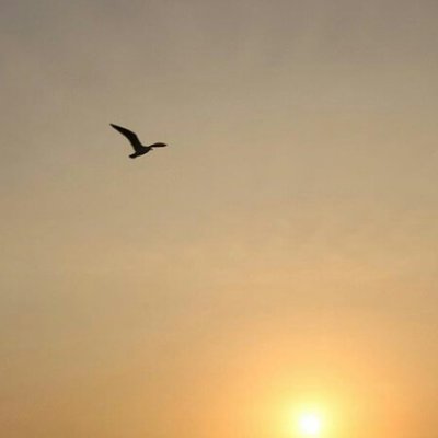 sabrinavel5's profile picture. 