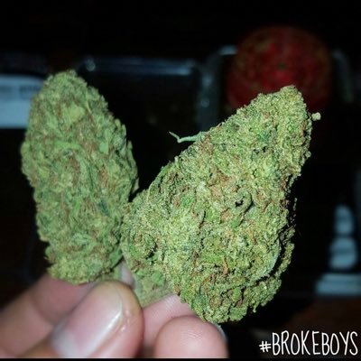 NYC 🗽

Just bros I’m love with Mary Jane 🍁
Premium Cannabis Only
#BrokeBoys420