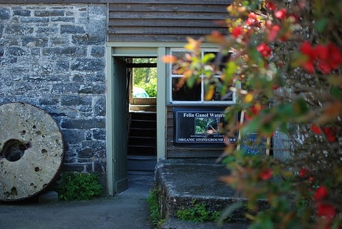 Felin Ganol is a working cornmill in Llanrhystud, Ceredigion. We use only water power to grind organic grain to produce a range of stoneground flours.