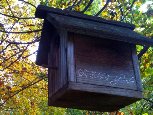 scholarsgarden's profile picture. I'm a poor, English undergrad on a quest to break through the soil and get something growing.