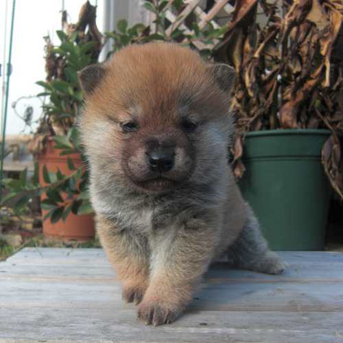 mozmarrboys's profile picture. 