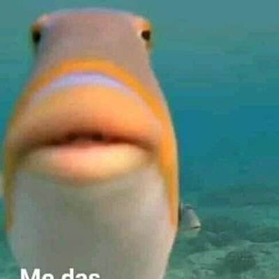 JudeMay9's profile picture. 