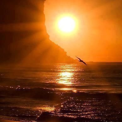 seriously_721's profile picture. PROUD PHILLY DEMOCRAT!