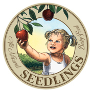 Seedlings is a baby and children's emporium that sells carefully selected innovative gear, gifts and toys.