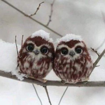 s_pipilu's profile picture. 没什么可说的