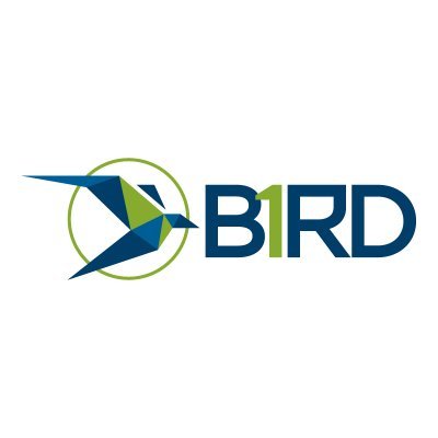 BirdOne LLC revolutionizes the way work is done in the electric utility industry by leveraging the latest technology in a way that is easy to understand and