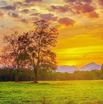 alinea2222's profile picture. 